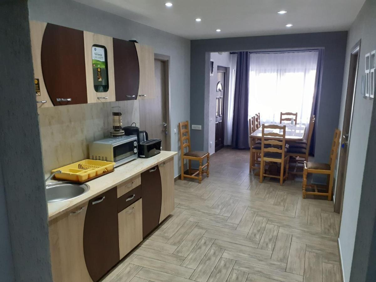 Hotel Casa Andy à Buşteni Extérieur photo