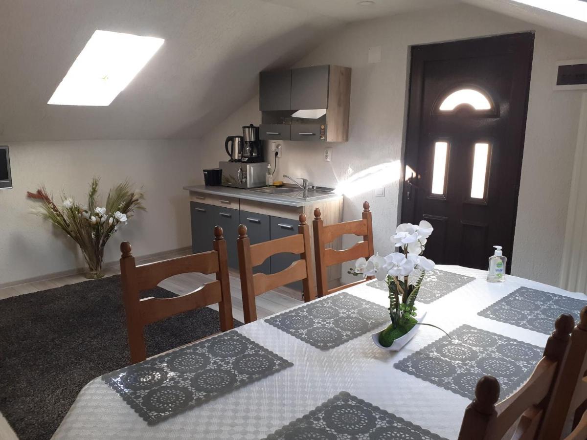 Hotel Casa Andy à Buşteni Extérieur photo