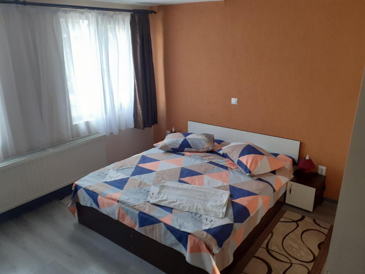 Hotel Casa Andy à Buşteni Extérieur photo