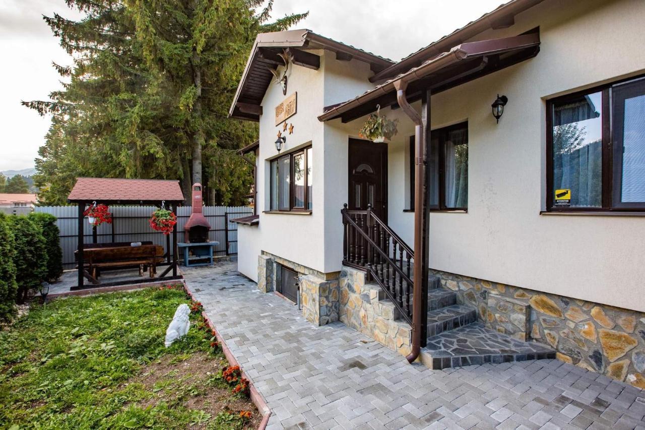 Hotel Casa Andy à Buşteni Extérieur photo