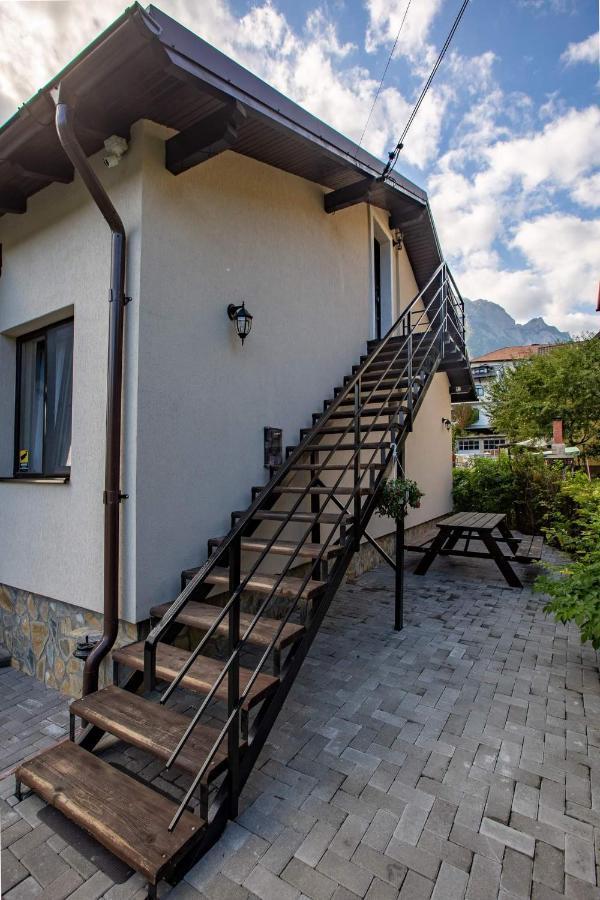 Hotel Casa Andy à Buşteni Extérieur photo